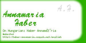 annamaria haber business card